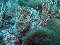 IMG_4493 r1